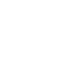 n-icon-2-white